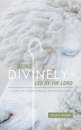 Being Divinely Led by the Lord