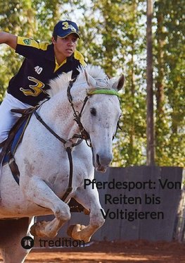 Pferdesport: Von Reiten bis Voltigieren