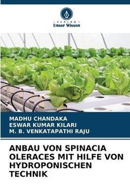 ANBAU VON SPINACIA OLERACES MIT HILFE VON HYDROPONISCHEN TECHNIK