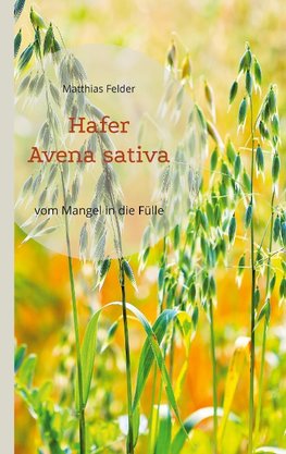 Hafer - Avena sativa