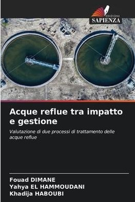 Acque reflue tra impatto e gestione