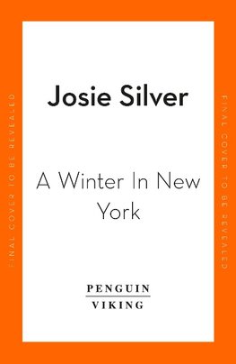 A Winter in New York