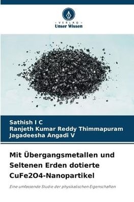 Mit Übergangsmetallen und Seltenen Erden dotierte CuFe2O4-Nanopartikel