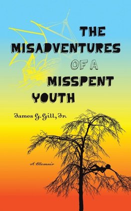 The Misadventures of a Misspent Youth