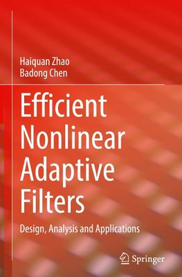 Efficient Nonlinear Adaptive Filters