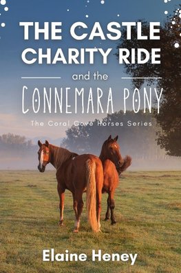 The Castle Charity Ride and the Connemara Pony - The Coral Cove Horses Series