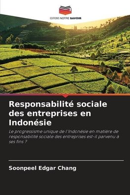 Responsabilité sociale des entreprises en Indonésie