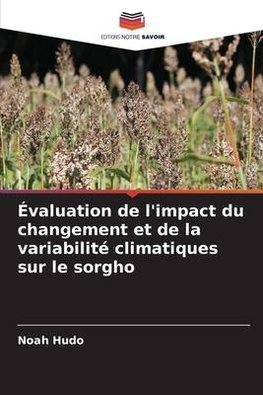 Évaluation de l'impact du changement et de la variabilité climatiques sur le sorgho