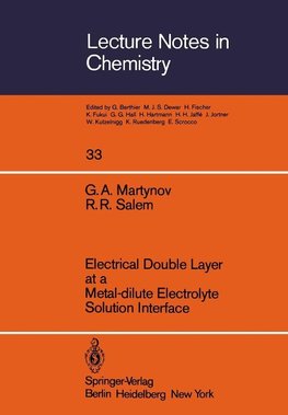 Electrical Double Layer at a Metal-dilute Electrolyte Solution Interface