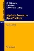 Algebraic Geometry - Open Problems