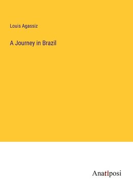 A Journey in Brazil