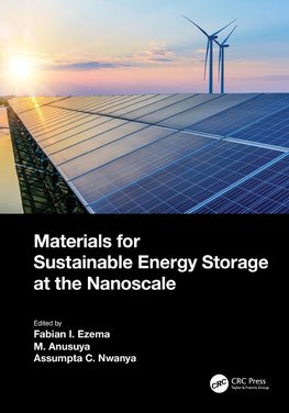 Materials for Sustainable Energy Storage at the Nanoscale