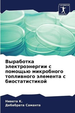 Vyrabotka älektroänergii s pomosch'ü mikrobnogo topliwnogo älementa s biostatistikoj