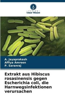 Extrakt aus Hibiscus rosasinensis gegen Escherichia coli, die Harnwegsinfektionen verursachen