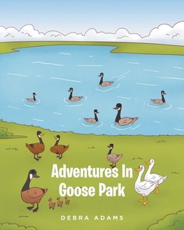 Adventures In Goose Park