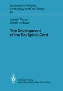 The Development of the Rat Spinal Cord