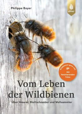 Vom Leben der Wildbienen