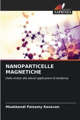 NANOPARTICELLE MAGNETICHE