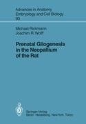 Prenatal Gliogenesis in the Neopallium of the Rat