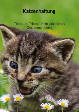 Katzenhaltung - Tipps und Tricks für ein glückliches Zusammenleben