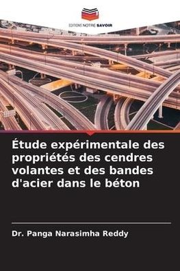 Étude expérimentale des propriétés des cendres volantes et des bandes d'acier dans le béton