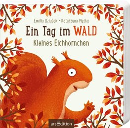 Ein Tag im Wald: Eichhörnchen