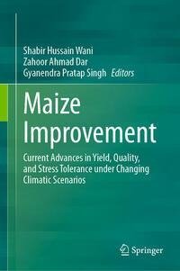 Maize Improvement