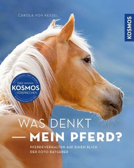 Was denkt mein Pferd?