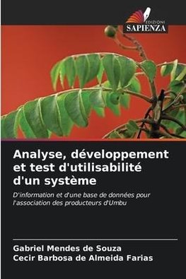 Analyse, développement et test d'utilisabilité d'un système