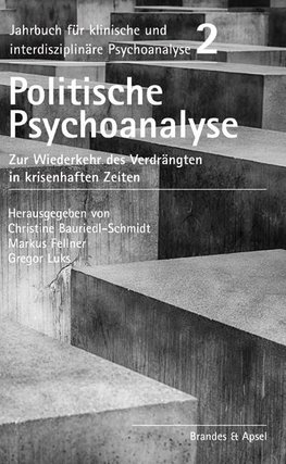 Politische Psychoanalyse