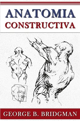 Anatomia Constructiva