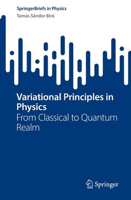 Variational Principles in Physics