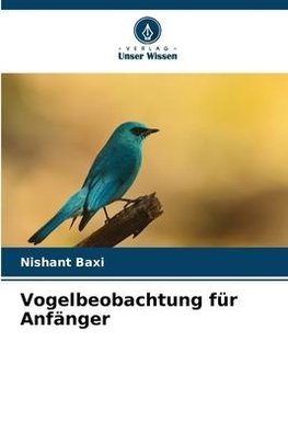 Vogelbeobachtung für Anfänger