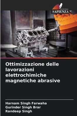 Ottimizzazione delle lavorazioni elettrochimiche magnetiche abrasive