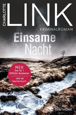 Einsame Nacht