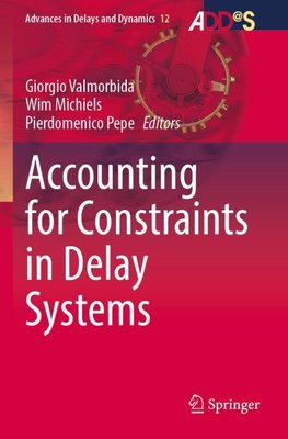 Accounting for Constraints in Delay Systems