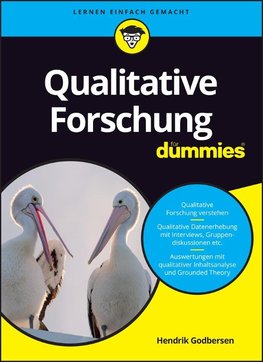 Qualitative Forschung für Dummies