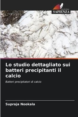 Lo studio dettagliato sui batteri precipitanti il calcio