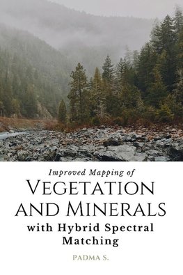 Improved Mapping of Vegetation and Minerals with Hybrid Spectral Matching