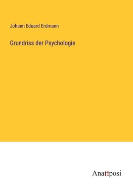 Grundriss der Psychologie