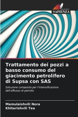 Trattamento dei pozzi a basso consumo del giacimento petrolifero di Supsa con SAS