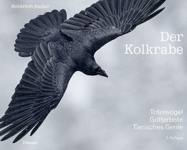 Der Kolkrabe - Totenvogel, Götterbote, tierisches Genie