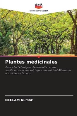 Plantes médicinales