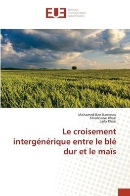 Le croisement intergénérique entre le blé dur et le maïs