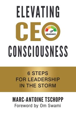 ELEVATING CEO CONSCIOUSNESS