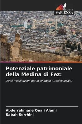 Potenziale patrimoniale della Medina di Fez: