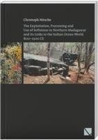 The Exploitation, Processing and Use of Softstone in Northern Madagascar and its Links to the Indian Ocean World, 800 - 1500 CE