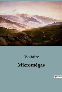 Micromégas