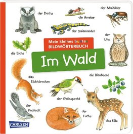 Mein kleines buntes Bildwörterbuch: Im Wald