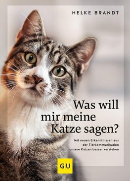 Was will mir meine Katze sagen?